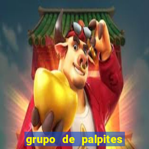 grupo de palpites de futebol whatsapp